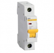 Автоматический выключатель ВА47-29 1Р 10А 4,5кА характеристика С ИЭК (автомат)